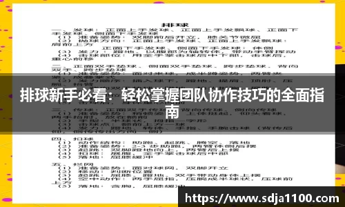 排球新手必看：轻松掌握团队协作技巧的全面指南